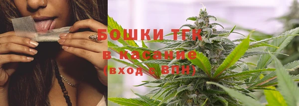 трава Абаза
