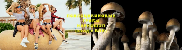 трава Абаза