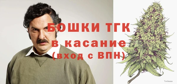 шишки Абинск