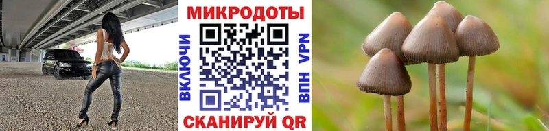 как найти наркотики  Поворино  Псилоцибиновые грибы Cubensis 