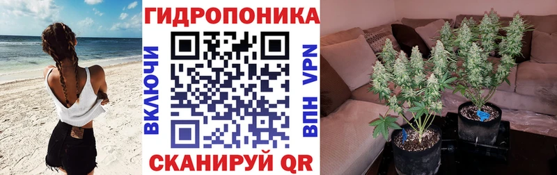 ссылка на мегу вход  Поворино  Каннабис сатива 